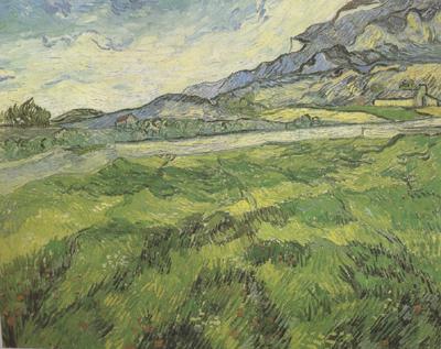 Green Wheat Field (nn04), Vincent Van Gogh